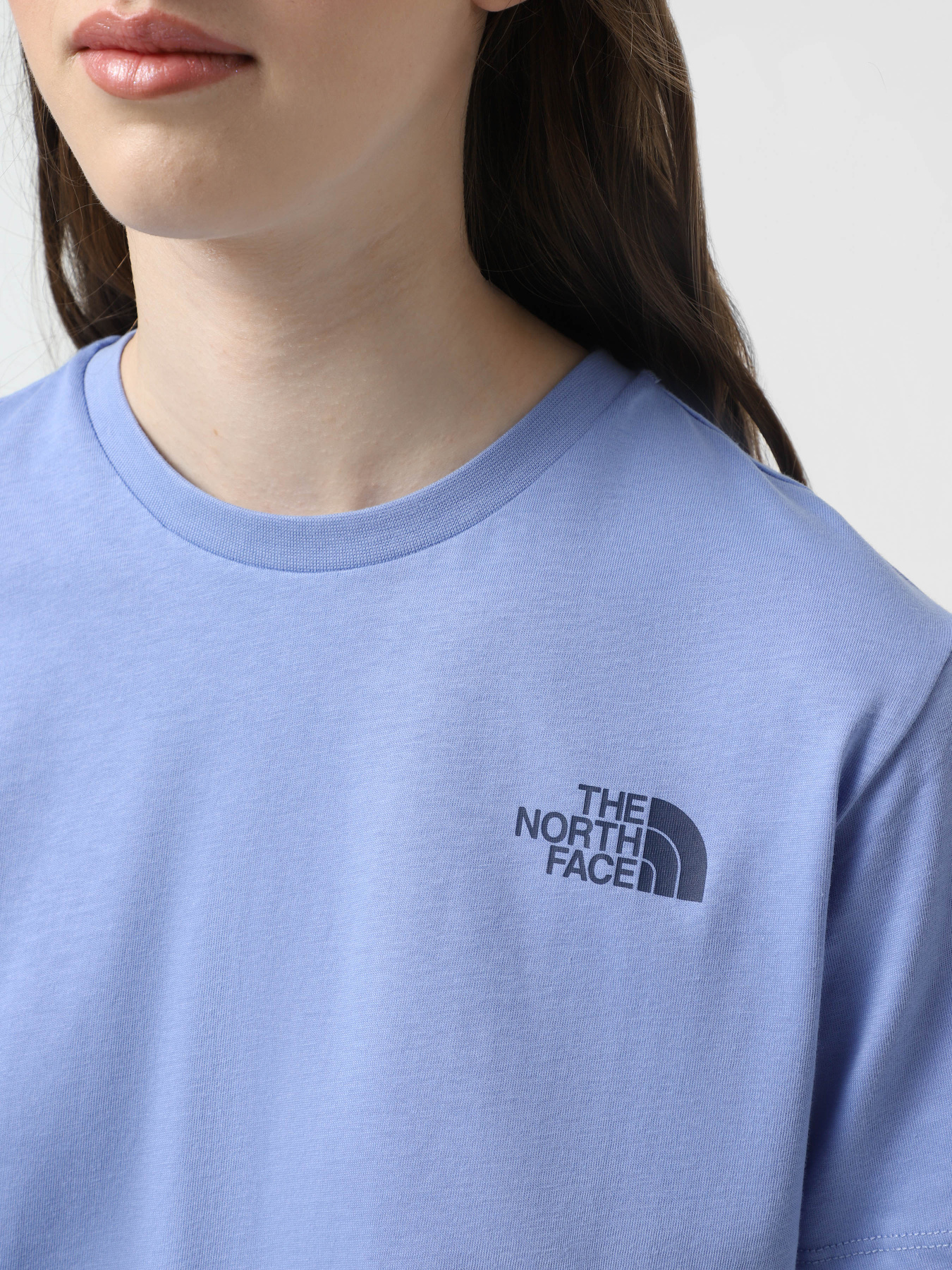 Футболка The North Face Box NSE модель NF0A87NK9W91 Фото