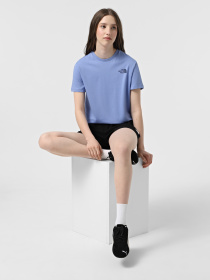 Футболка The North Face Box NSE модель NF0A87NK9W91 Фото