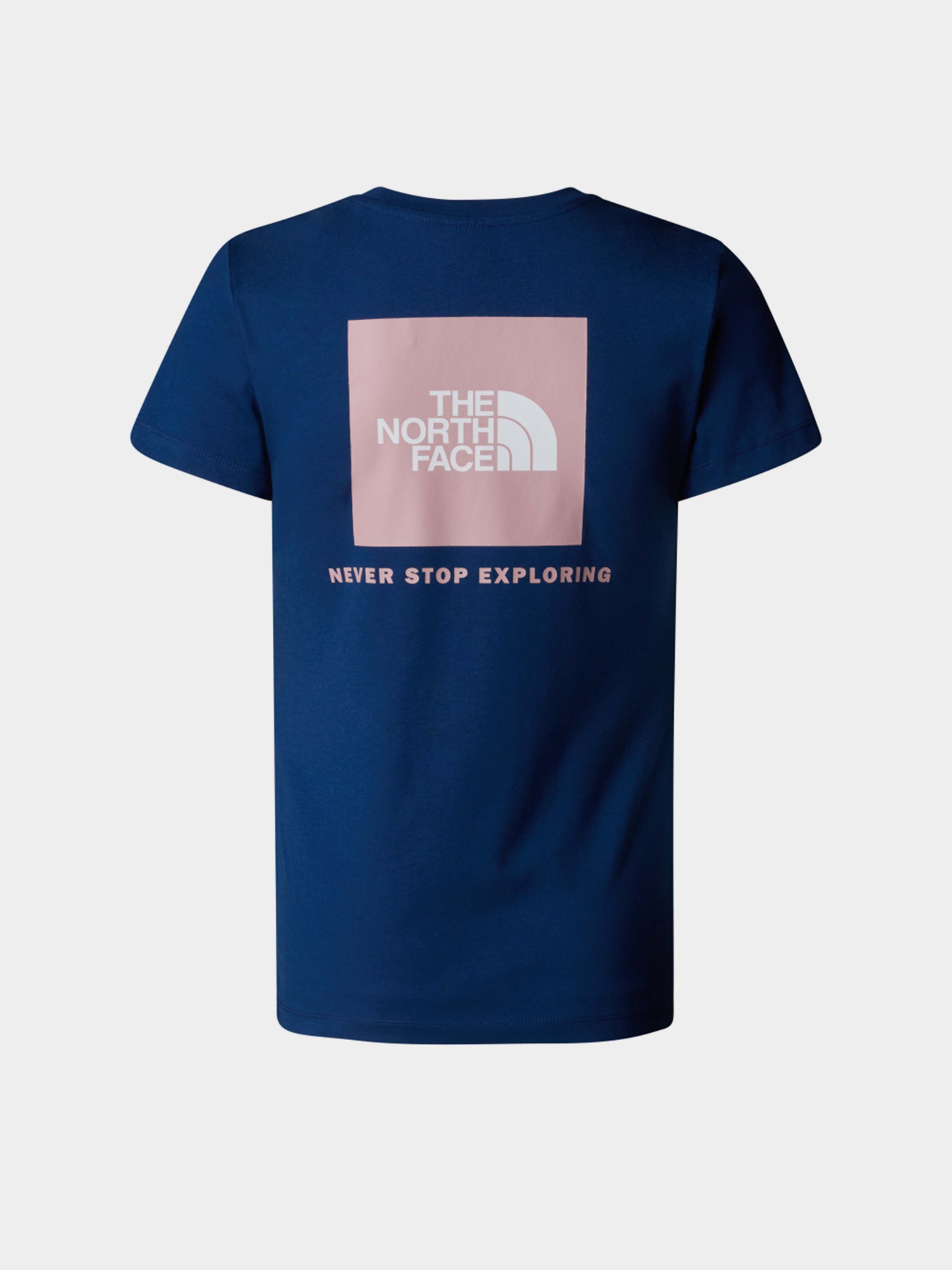 Футболка The North Face S/S Box Nse Slim модель NF0A87NMB4O1 Фото