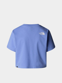 Футболка The North Face Simple Dome модель NF0A87U40YI1 Фото