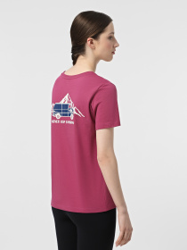 Футболка The North Face Outdoor Graphic модель NF0A8C226EO1 Фото