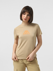 Футболка The North Face Flex S/S Tee Ma Graphic модель NF0A8BH8N481 Фото