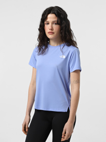 Футболка The North Face Flex Graphic модель NF0A8BQE0YI1 Фото