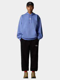 Джоггеры The North Face Essential Relaxed Straight модель NF0A8C1GJK31 Фото