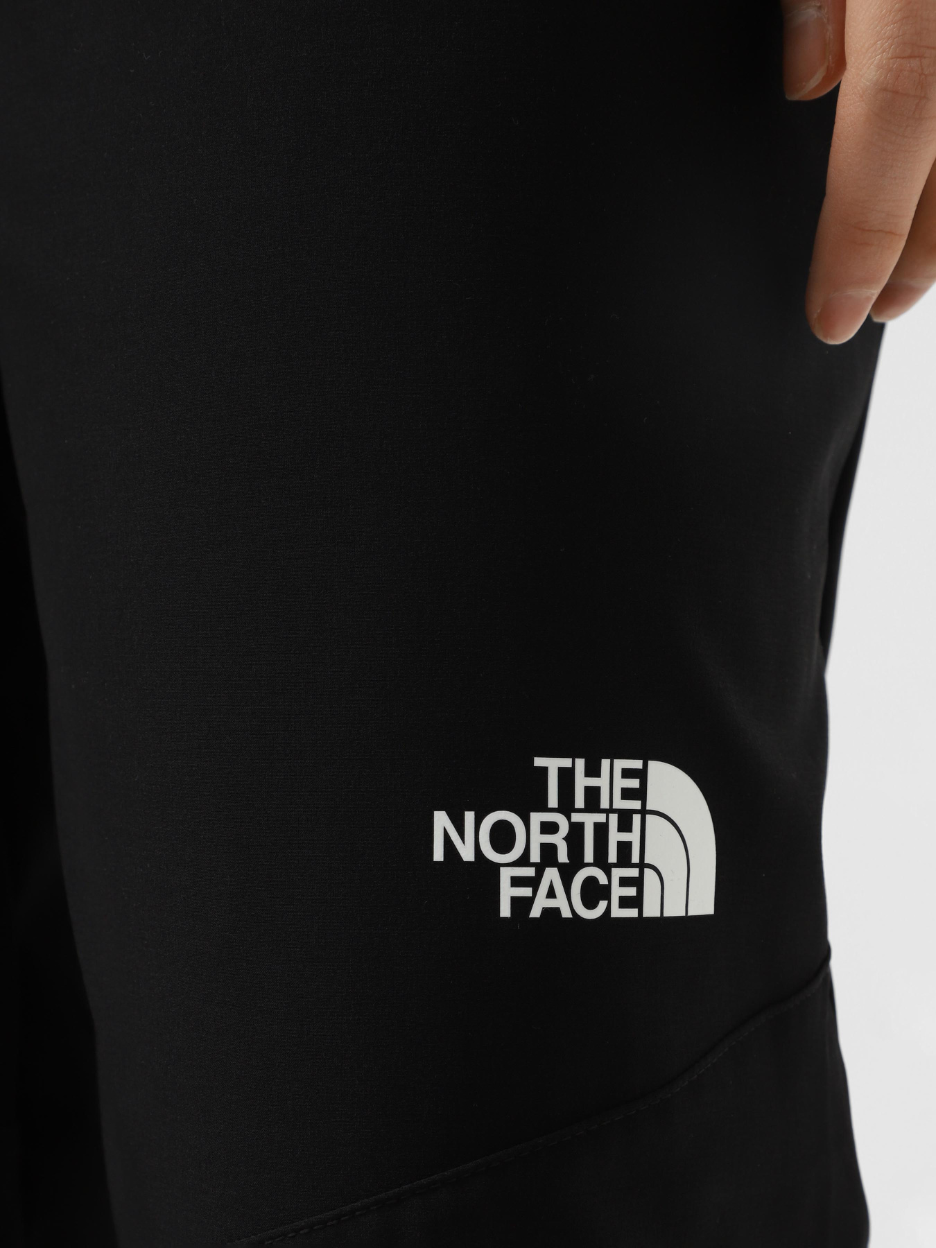 Джоггеры The North Face Ma Wind модель NF0A8BGPJK31 Фото