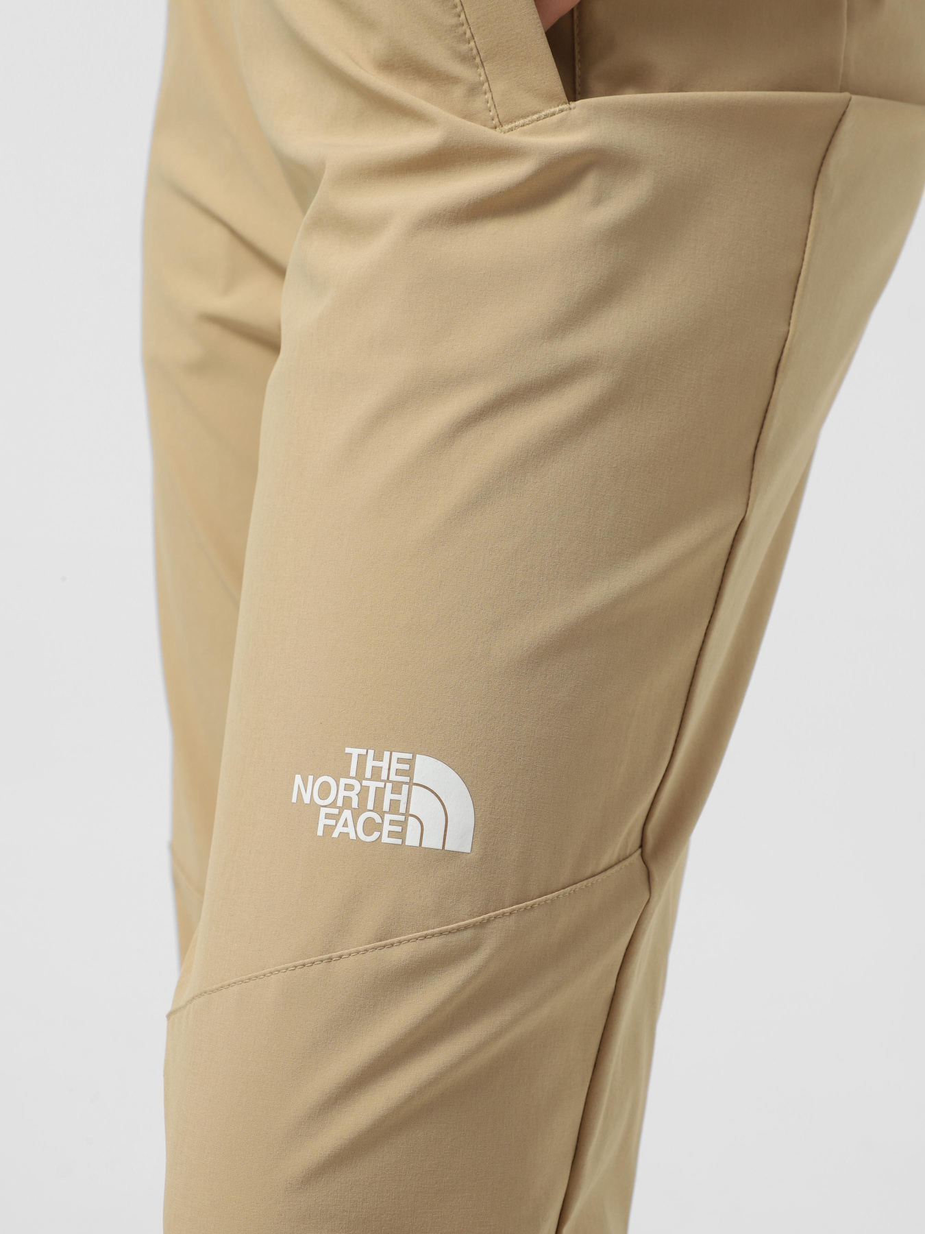 Штаны спортивные The North Face Ma Wind модель NF0A8BGPLK51 Фото