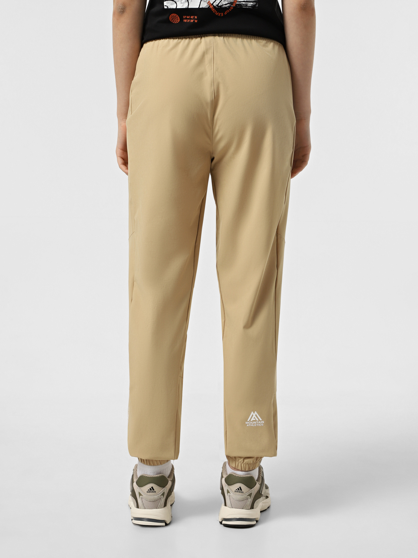 Спортивні штани The North Face Ma Wind модель NF0A8BGPLK51 Фото