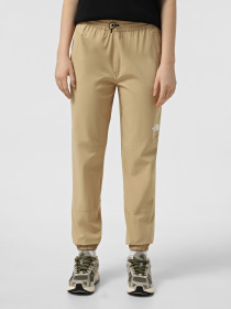 Спортивні штани The North Face Ma Wind модель NF0A8BGPLK51 Фото