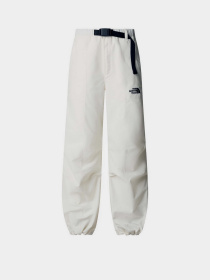 Штаны спортивные The North Face Never Stop Exploring модель NF0A8BJHQLI1 Фото