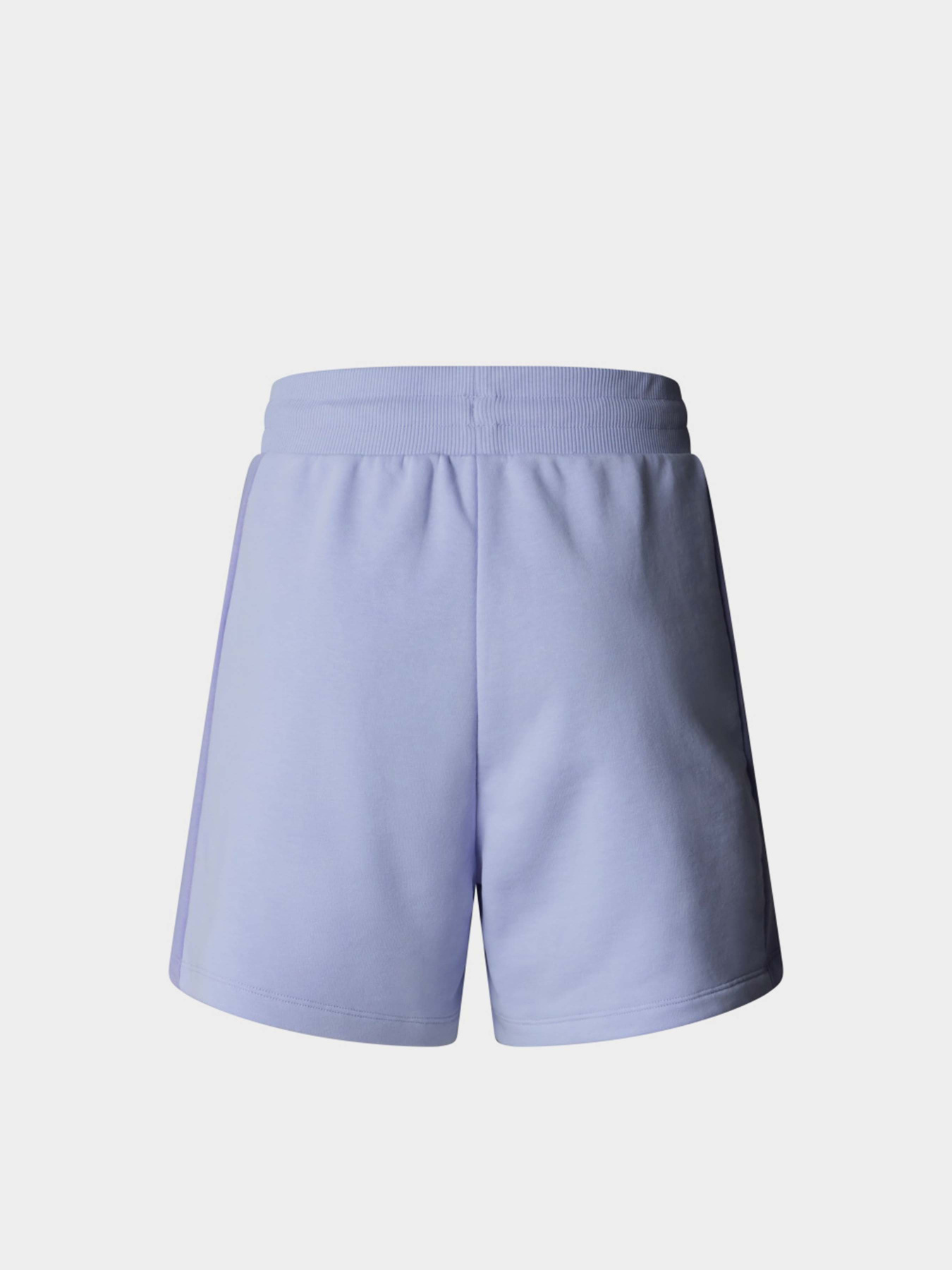 Шорты The North Face Terry модель NF0A8C270VI1 Фото