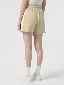 Повседневные шорты The North Face Terry модель NF0A8C273X41 Фото