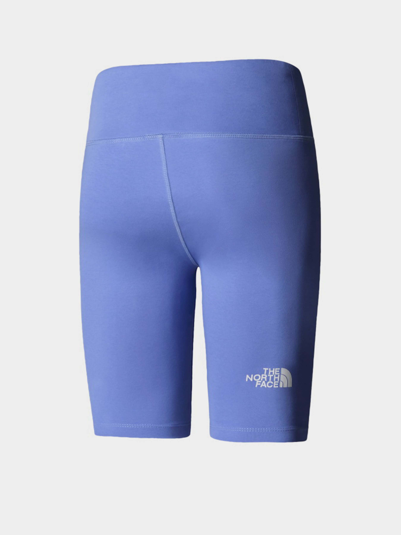 Шорты спортивные The North Face Simple Dome модель NF0A8C2H0YI1 Фото