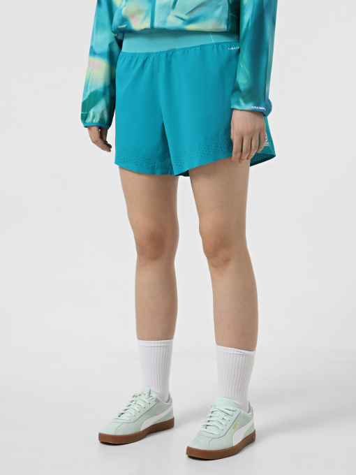 Шорты спортивные The North Face Summit Pacesetter 5" модель NF0A8BB75A21 Фото