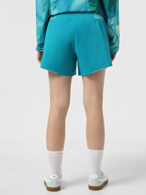 Шорты спортивные The North Face Summit Pacesetter 5" модель NF0A8BB75A21 Фото