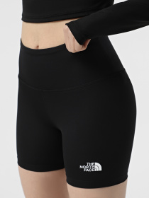 Шорты спортивные The North Face Flex 5" модель NF0A8BEYJK31 Фото