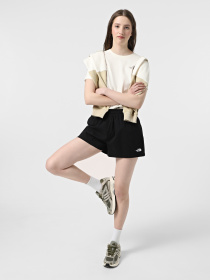 Шорты спортивные The North Face Class V Pathfinder Pull On модель NF0A8BJ1JK31 Фото