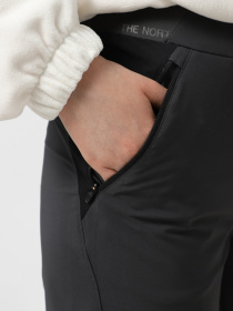 Шорты спортивные The North Face Felik Slim Tapered модель NF0A8BT4MN81 Фото