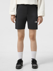 Шорты The North Face Felik Slim Tapered модель NF0A8BT4MN81 Фото