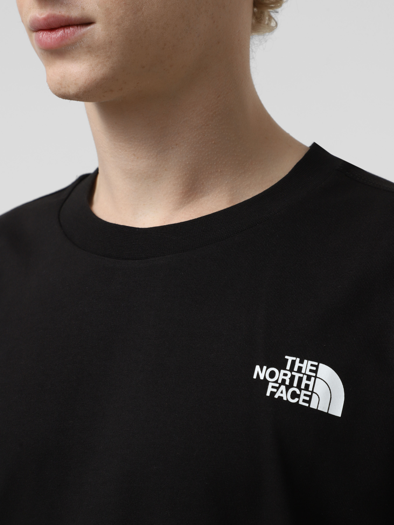 Футболка The North Face NSE модель NF0A8C3TJK31 Фото