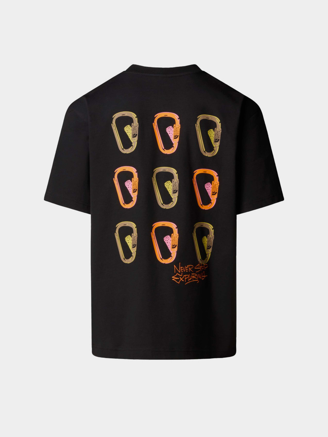 Футболка The North Face NSE модель NF0A8C3TJK31 Фото