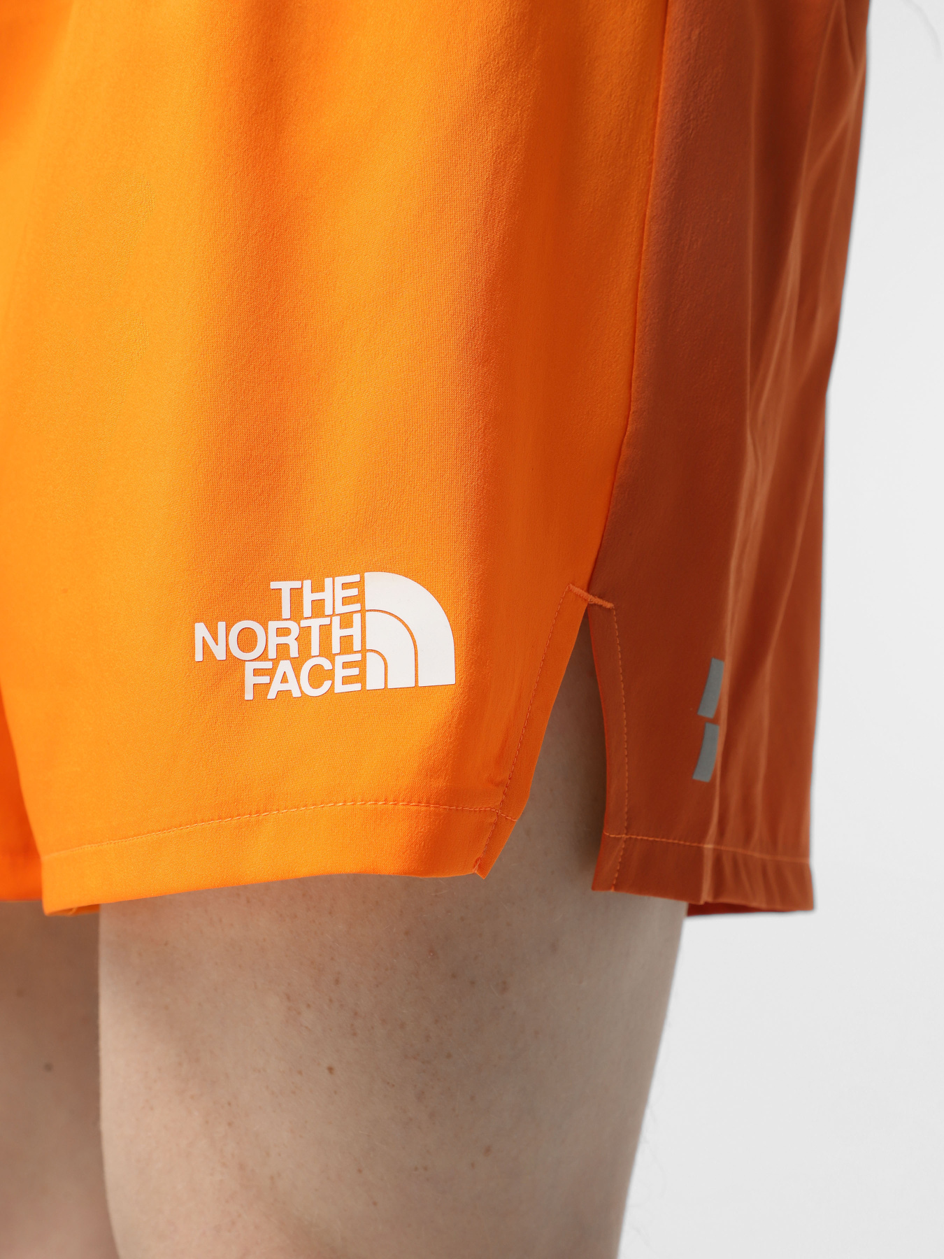 Шорты спортивные The North Face Breeze модель NF0A892N58B1 Фото