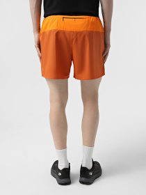 Шорты спортивные The North Face Breeze модель NF0A892N58B1 Фото