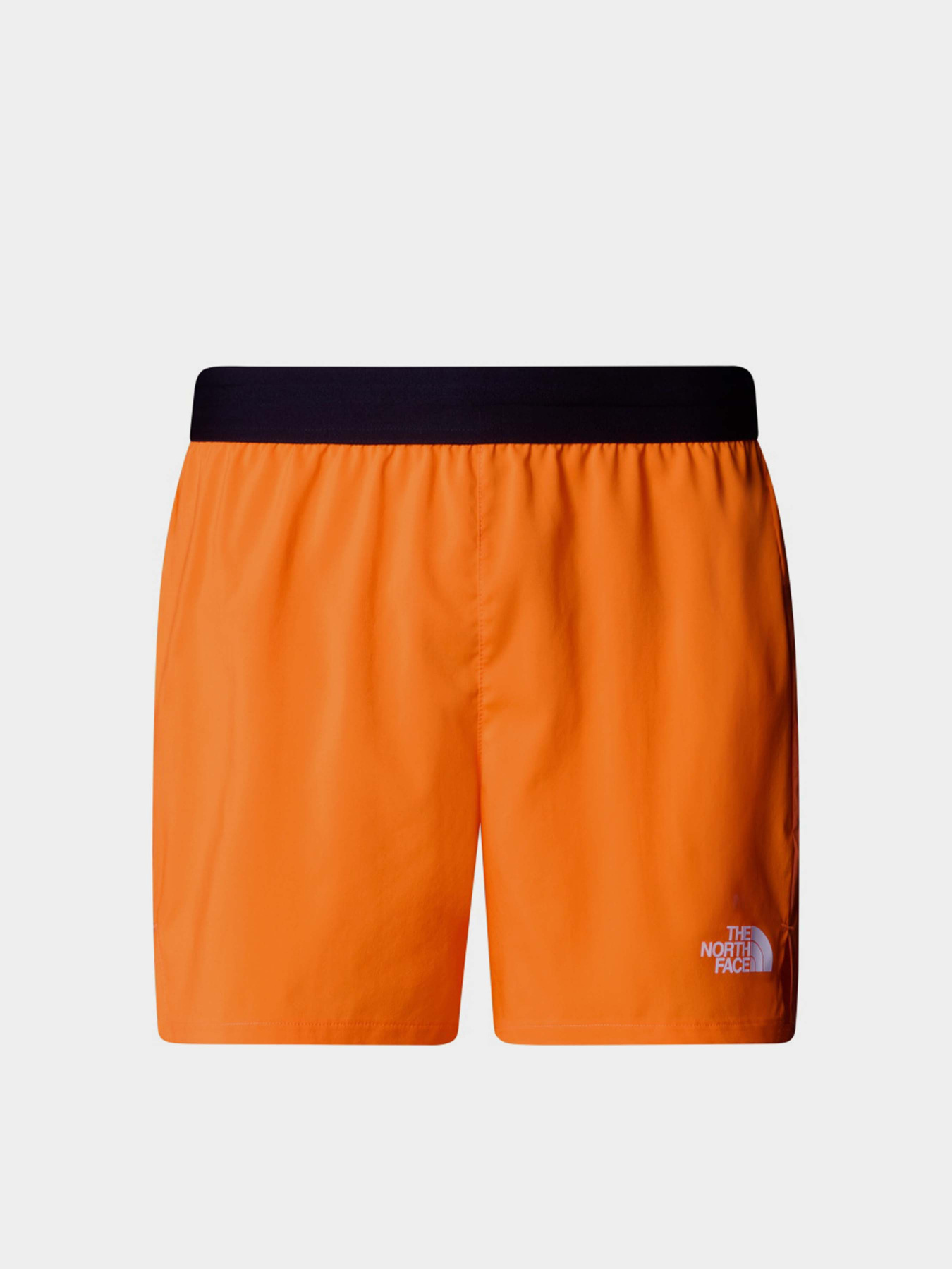 Шорты спортивные The North Face Breeze модель NF0A892N58B1 Фото