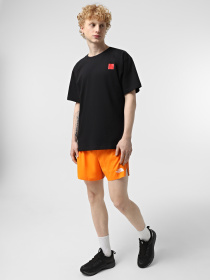 Шорты спортивные The North Face Breeze модель NF0A892N58B1 Фото