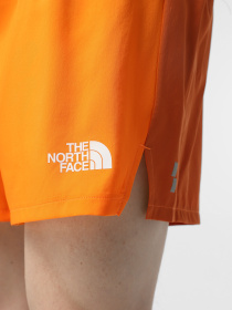 Шорты спортивные The North Face Breeze модель NF0A892N58B1 Фото