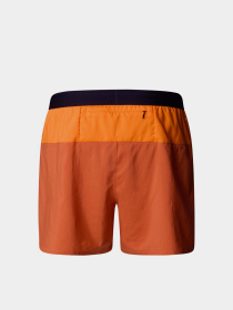 Шорты спортивные The North Face Breeze модель NF0A892N58B1 Фото