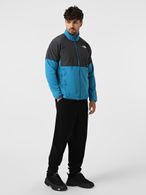 Флисовая кофта The North Face Glacier модель NF0A89JGDLE1 Фото