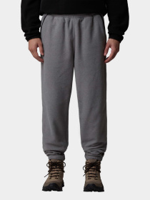 Джоггеры The North Face Glacier модель NF0A8D0TCQI1 Фото