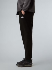 Штаны спортивные The North Face Glacier модель NF0A8D0TJK31 Фото