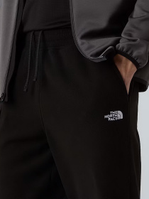 Штаны спортивные The North Face Glacier модель NF0A8D0TJK31 Фото
