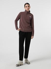 Штаны спортивные The North Face Glacier модель NF0A8DQRJK31 Фото