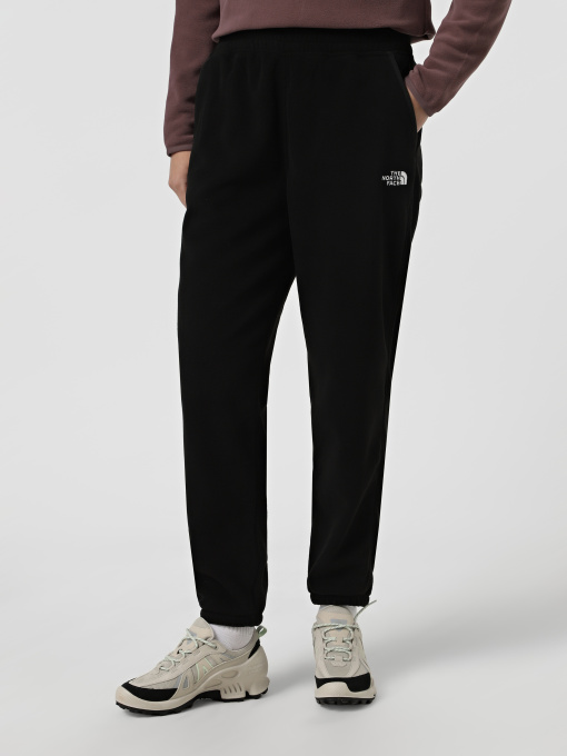 Спортивні штани The North Face Glacier модель NF0A8DQRJK31 Фото