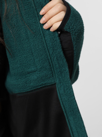 Флисовая кофта The North Face Retro Denali модель NF0A88YRDFI1 Фото