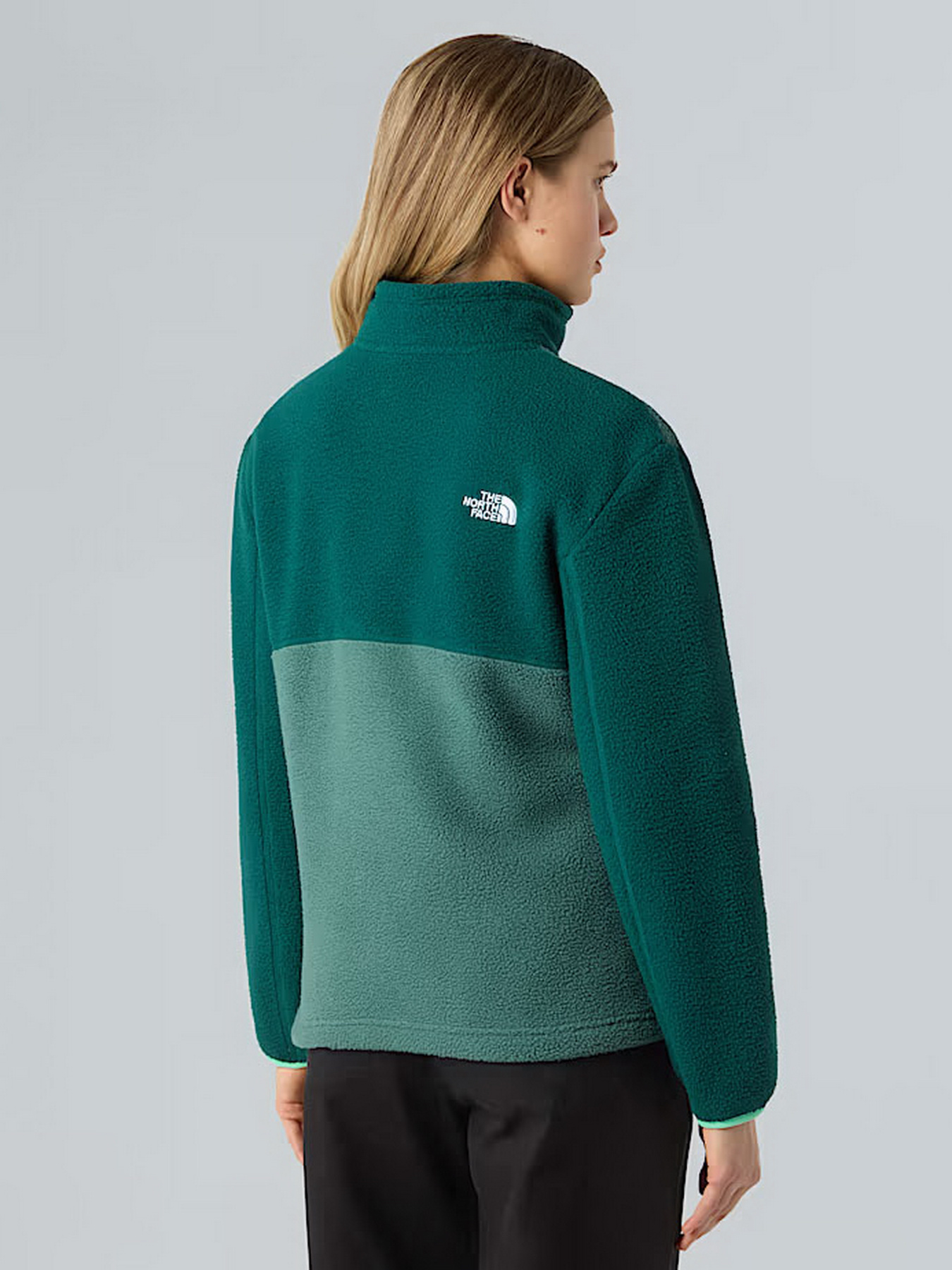 Флісова кофта The North Face Yumiori модель NF0A8E88E291 Фото