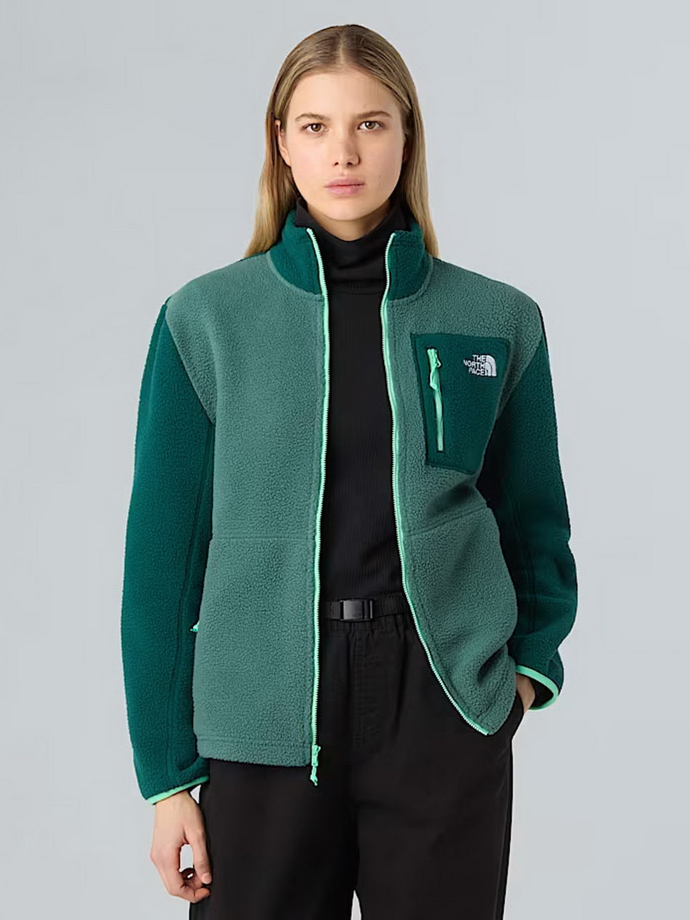 Флисовая кофта The North Face Yumiori модель NF0A8E88E291 Фото