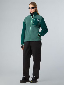 Флисовая кофта The North Face Yumiori модель NF0A8E88E291 Фото
