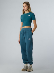 Футболка The North Face Essential модель NF0A55AOBQ51 Фото