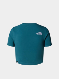 Футболка The North Face Essential модель NF0A55AOBQ51 Фото
