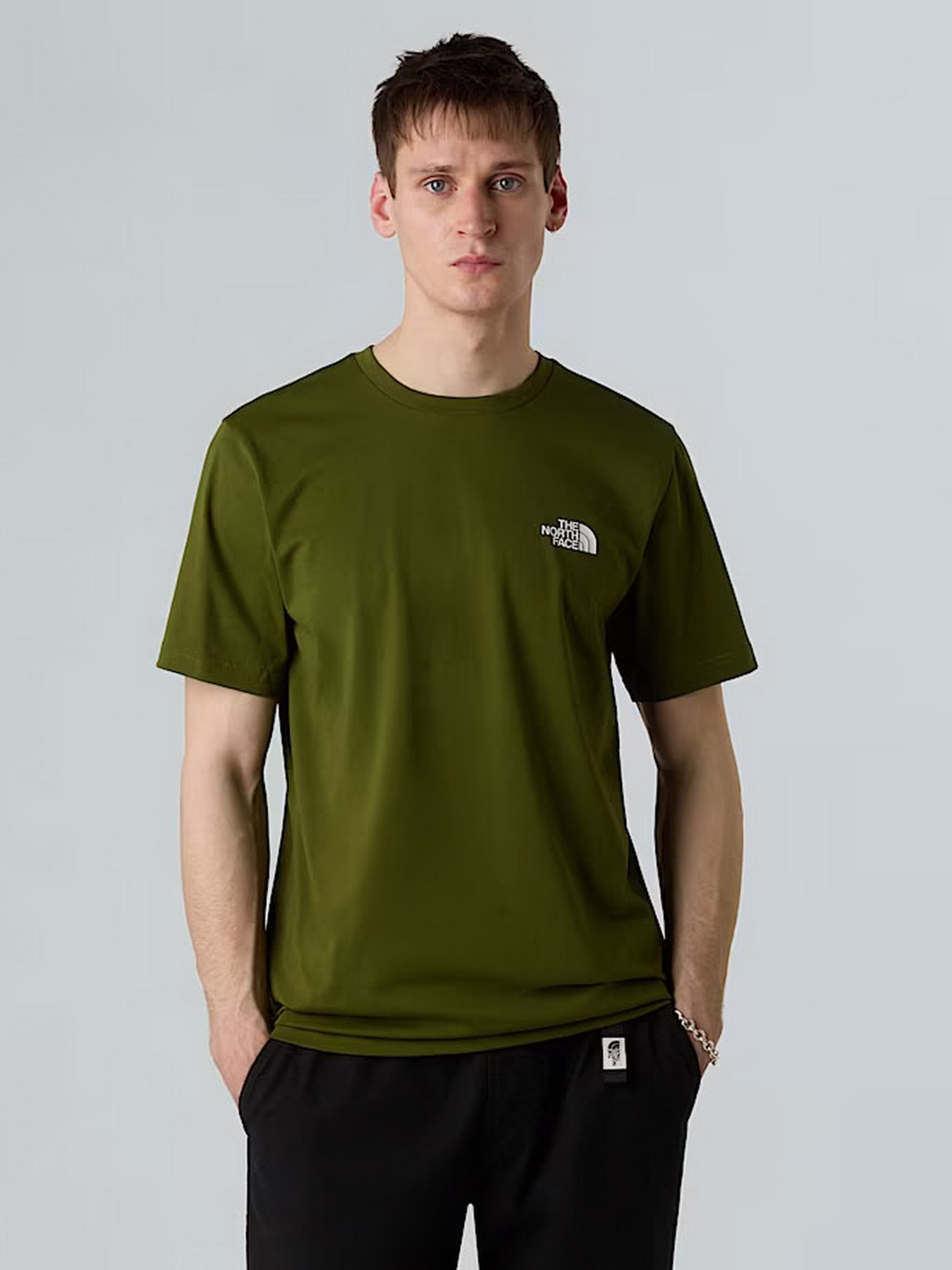 Футболка The North Face Simple Dome модель NF0A87NGBRI1 Фото