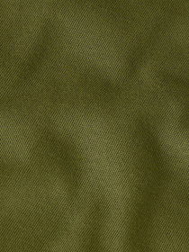 Футболка The North Face Simple Dome модель NF0A87NGBRI1 Фото