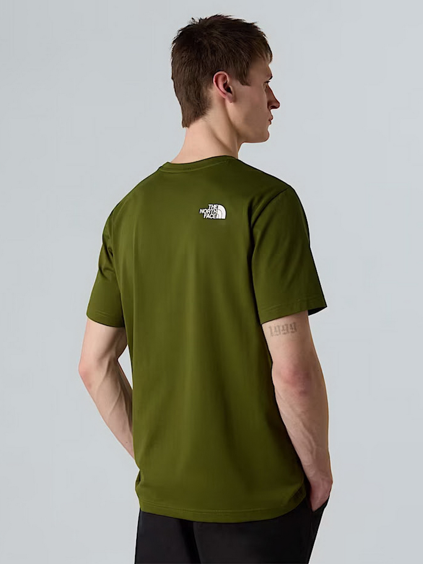 Футболка The North Face Simple Dome модель NF0A87NGBRI1 Фото