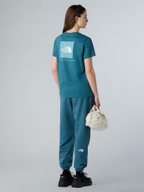 Футболка The North Face  NSE Box модель NF0A87NKE311 Фото