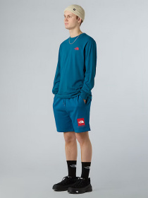 Лонгслив The North Face NSE Box модель NF0A87NNF9T1 Фото