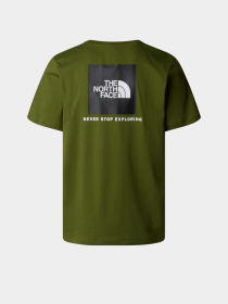 Футболка The North Face NSE Box модель NF0A87NPDIW1 Фото