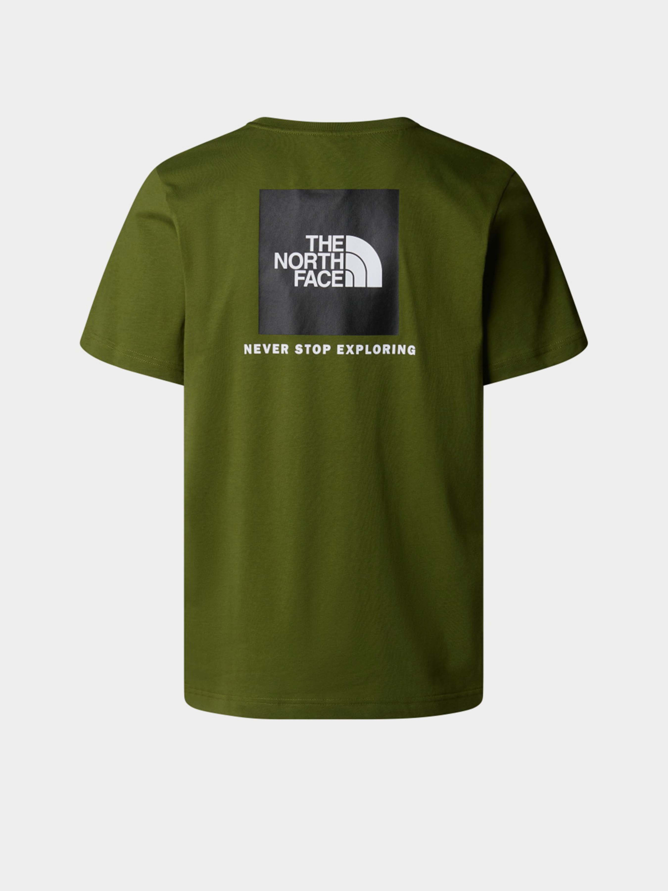 Футболка The North Face NSE Box модель NF0A87NPDIW1 Футболка The North Face NSE Box модель NF0A87NPDIW1 Фото