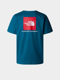 Футболка The North Face NSE Box модель NF0A87NPF9T1 Фото